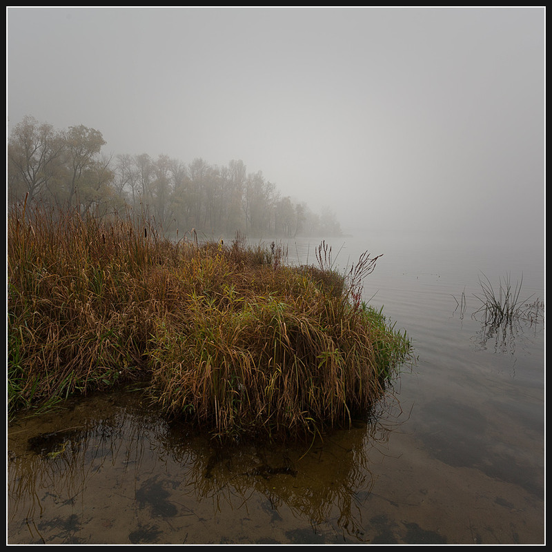 Фотографія Осень... Утро... Туман...(5) / Соловей Алексей / photographers.ua