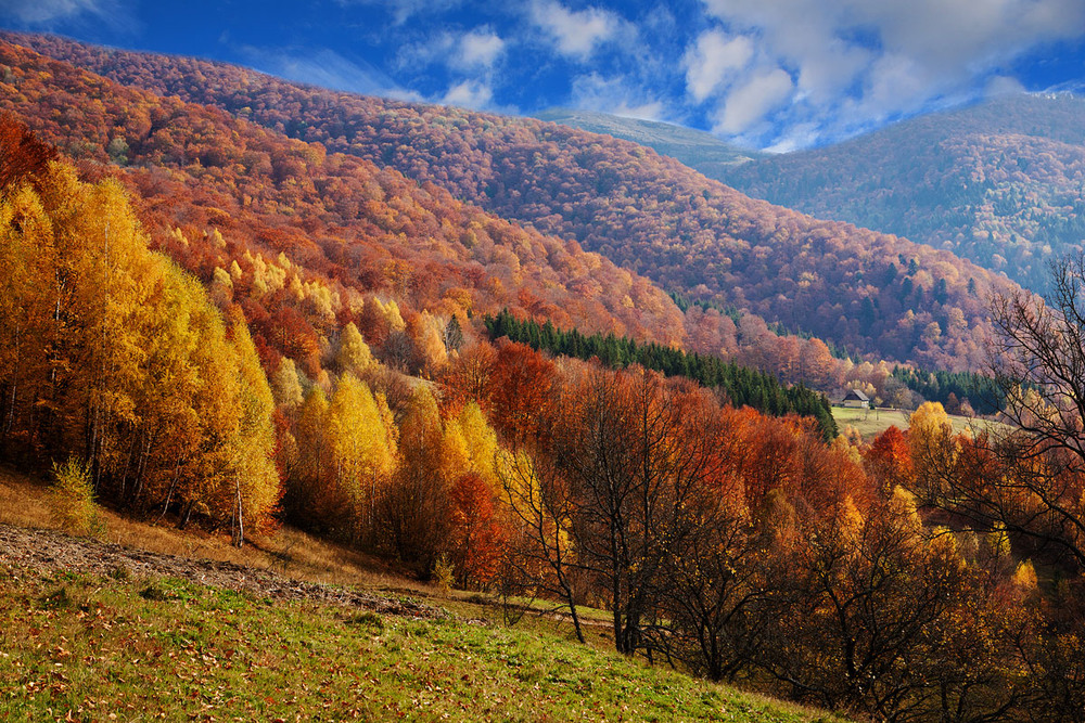 Фотографія Фарби осені / Віталій Ра / photographers.ua