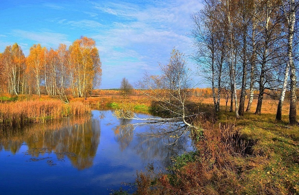 Фотографія Сіверщина восени / ED BAR / photographers.ua