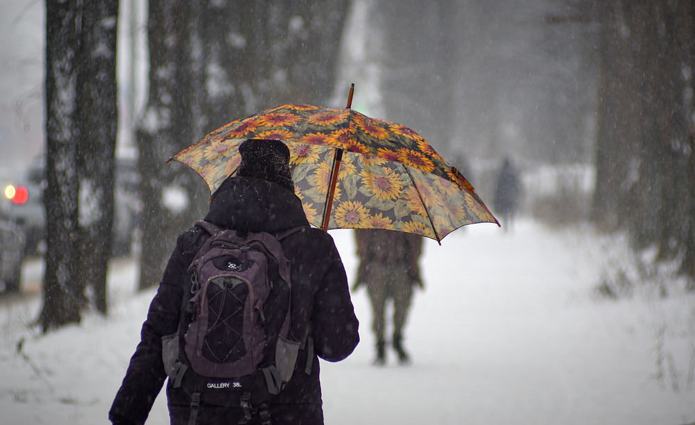 Фотографія Долгожданный снегопад / Александр Черныш / photographers.ua