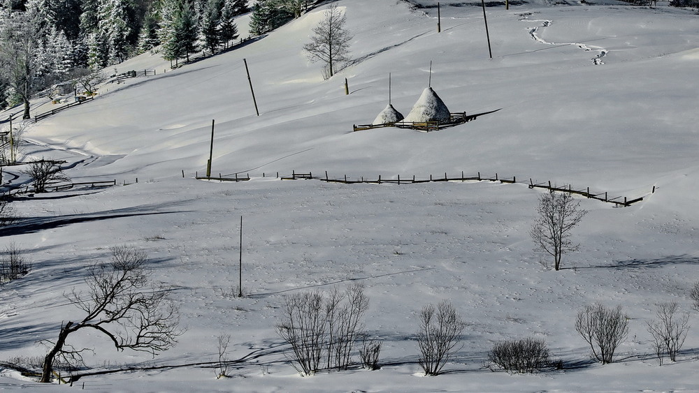 Фотографія В Карпатах випав сніг / Віктор / photographers.ua