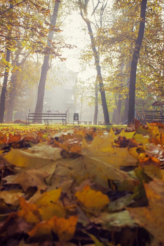 Фотографія *** / Andrii Petrunin / photographers.ua