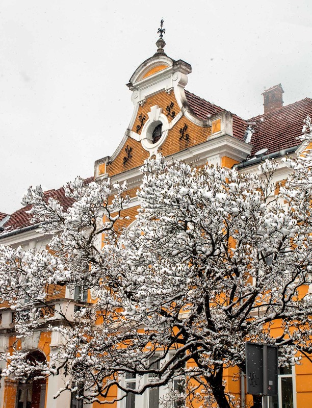 Фотографія Дерева снігом розцвіли / Andrii Petrunin / photographers.ua