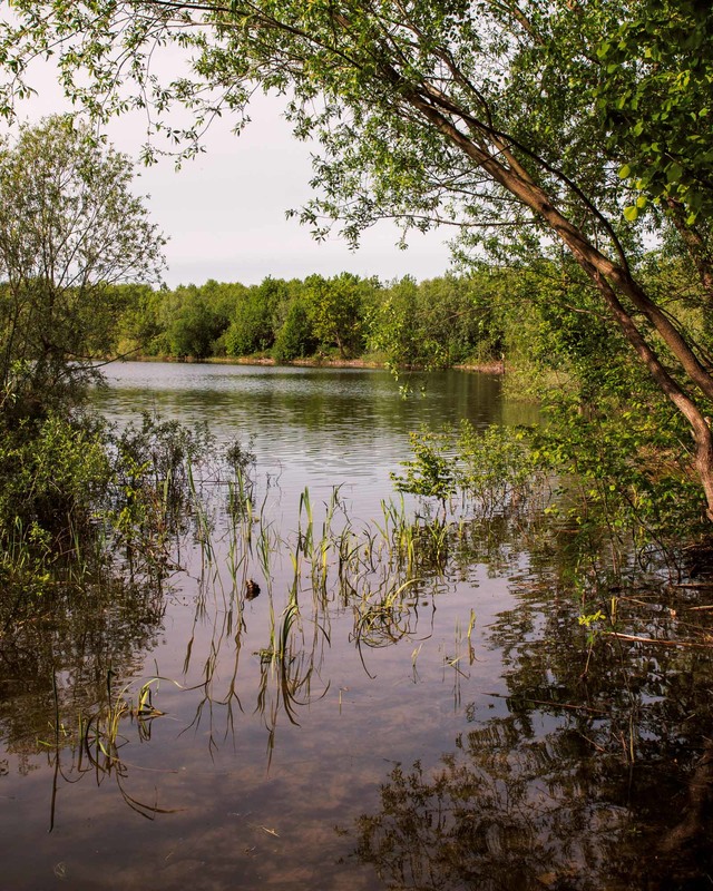 Фотографія *** / Andrii Petrunin / photographers.ua