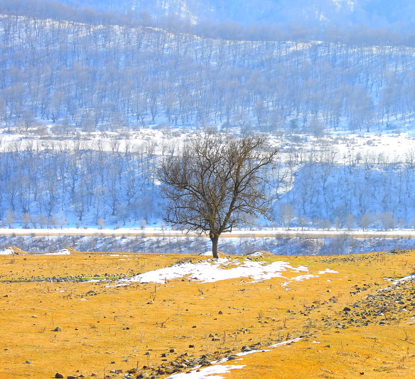 Фотографія вчера / Ulvi Magerramov / photographers.ua