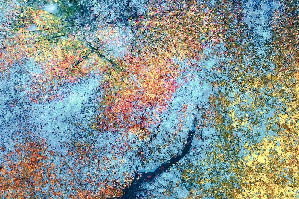 Фотографія "Nature's Mirror" / Oleksandr Shapovalov / photographers.ua