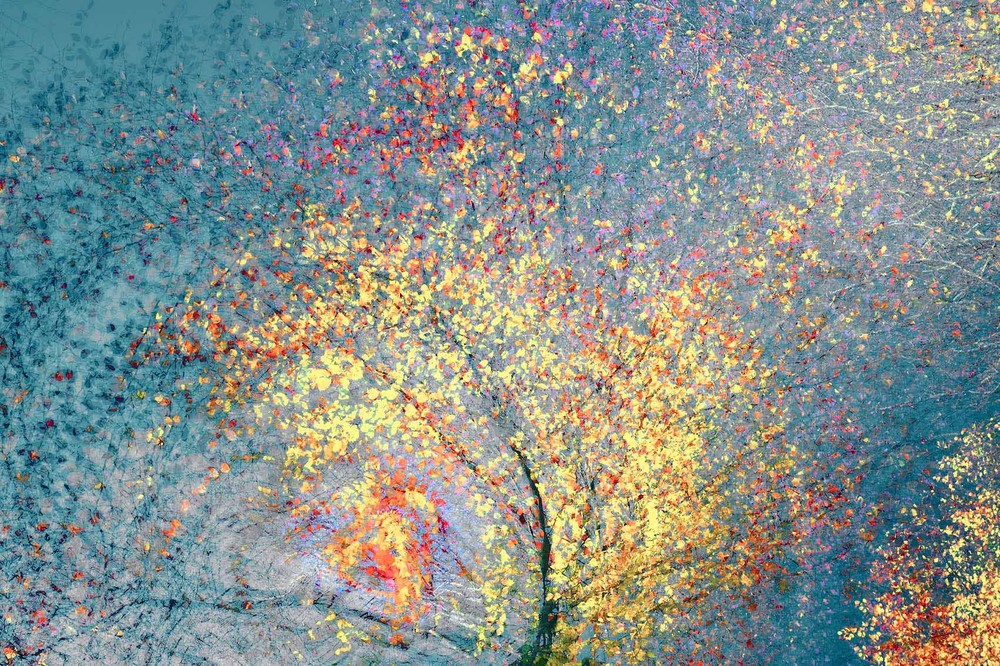 Фотографія "Autumn Dance" / Oleksandr Shapovalov / photographers.ua