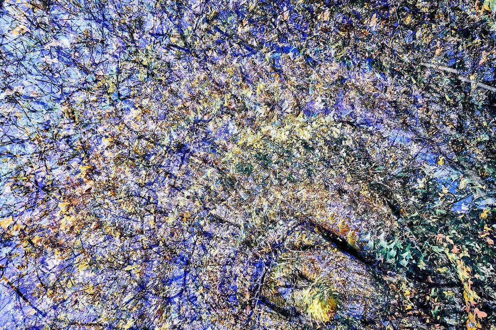 Фотографія "Symphony of Nature in Color" / Oleksandr Shapovalov / photographers.ua