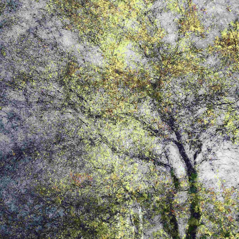 Фотографія Осіння палітра / Oleksandr Shapovalov / photographers.ua