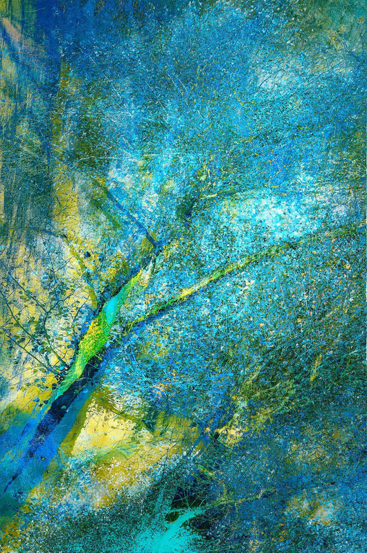 Фотографія Подих Прихованого Гаю #2 / Oleksandr Shapovalov / photographers.ua