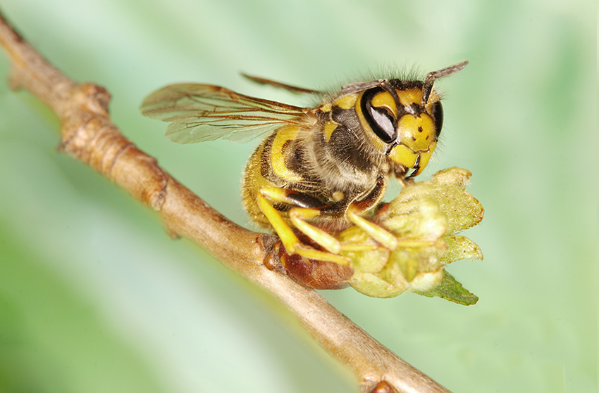 Фотографія /// / Адамов Сергей / photographers.ua