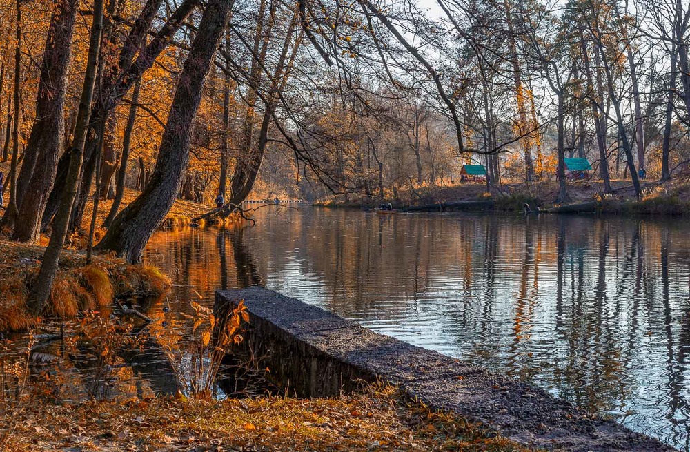 Фотографія річка Котурка, Пуща-Водиця / Владислав Молодід / photographers.ua