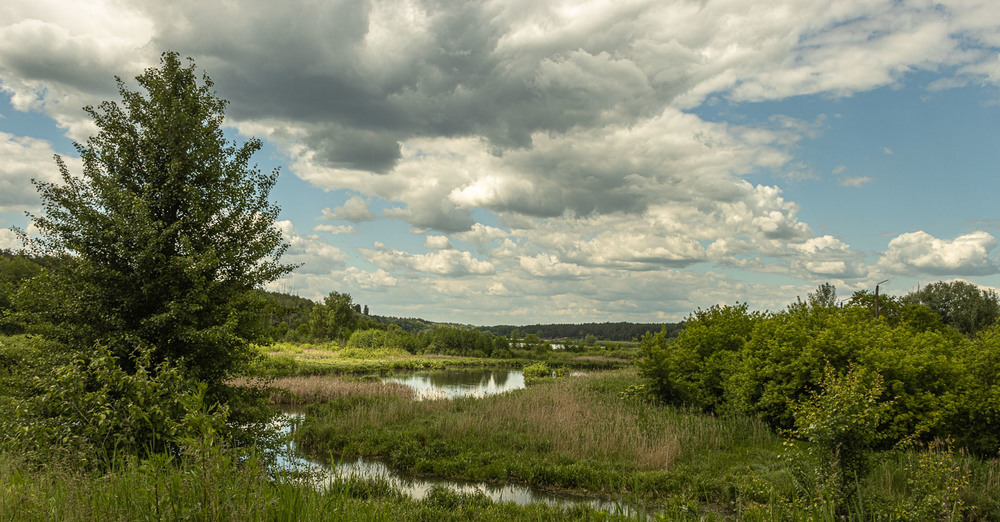Фотография річка Нивка хмарного дня / Владислав Молодід / photographers.ua