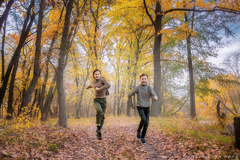 Фотографія Навстречу осени / Анна Вязникова / photographers.ua