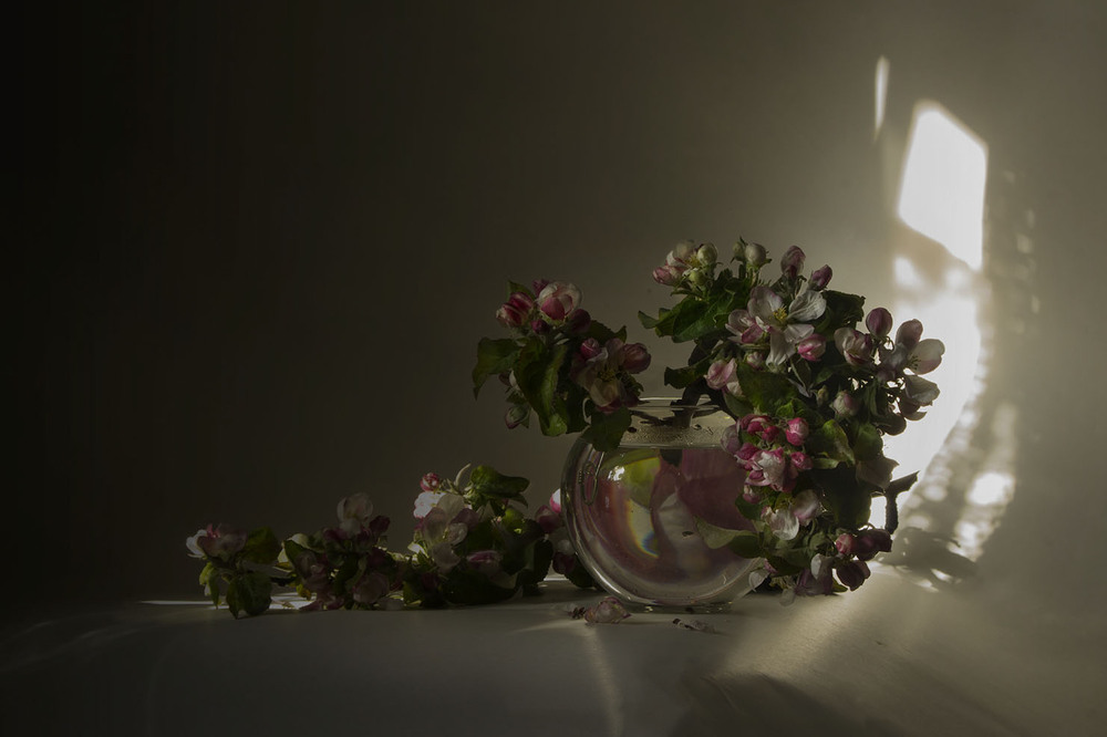 Фотографія Весенний / Надежда Ступницкая / photographers.ua