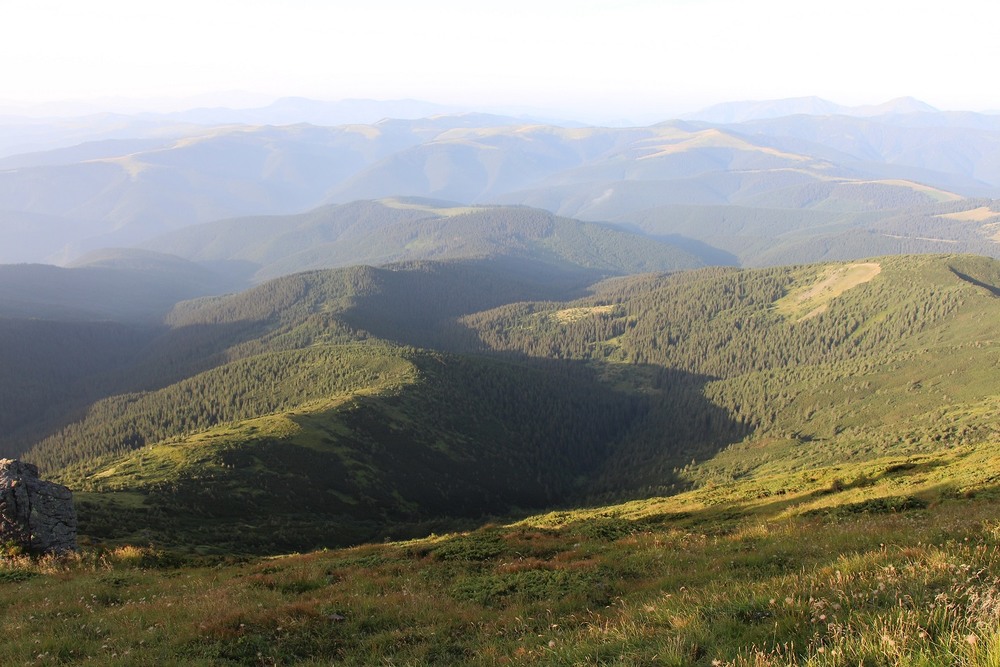 Фотографія Піп Іван Чорногорський / Donald Duck / photographers.ua
