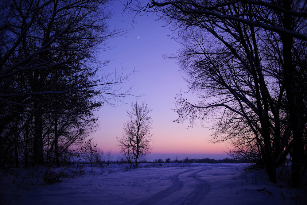 Фотографія Зимовий пейзаж / Арсеній Хоменко / photographers.ua