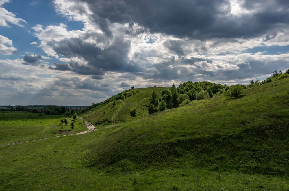 Фотографія Сидя на красивом холме / Arsenii Khomenko / photographers.ua