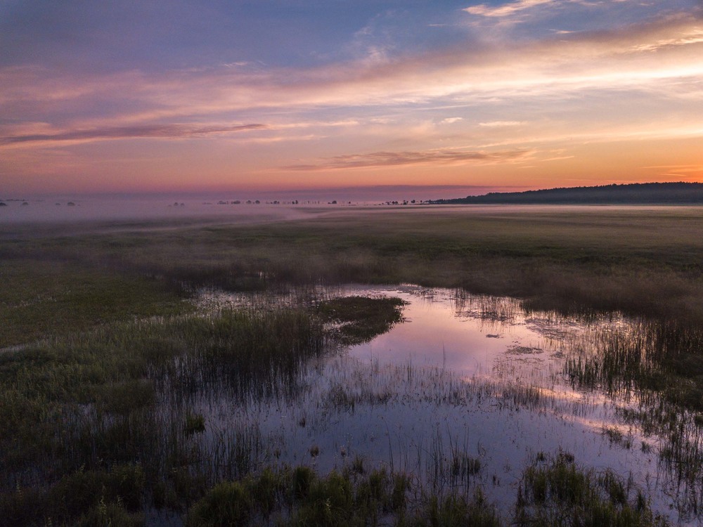 Фотографія Рассвет на лугу / Арсеній Хоменко / photographers.ua