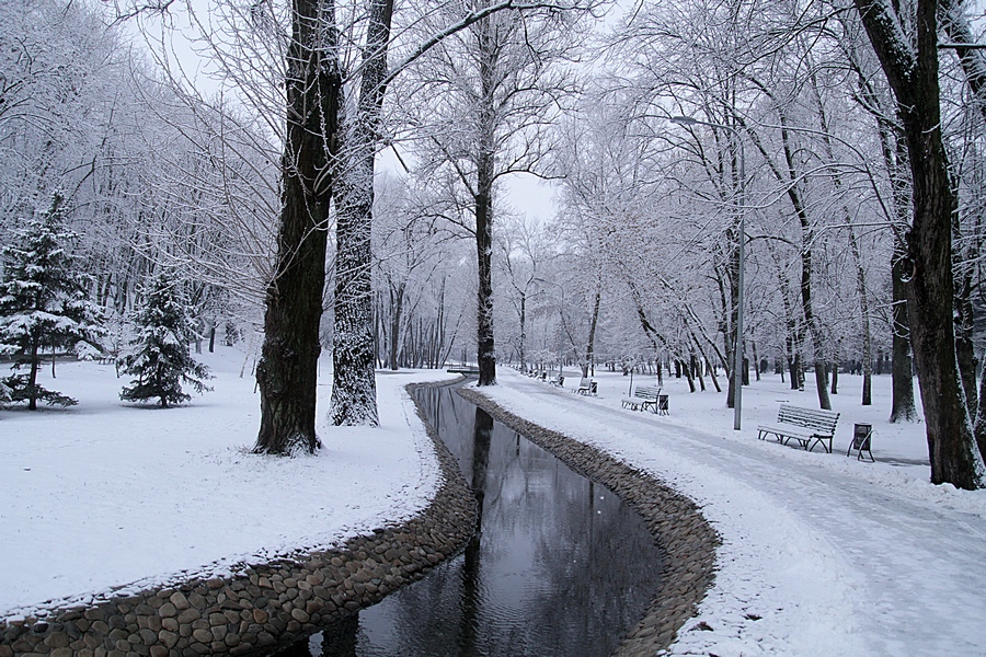 Фотографія зима пришла / Людмила Казакова / photographers.ua