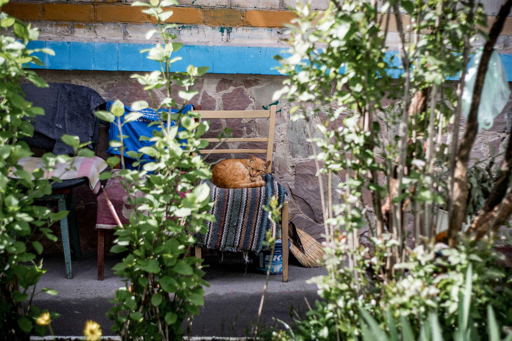 Фотографія Затишний дворик / Олександра Янковська / photographers.ua