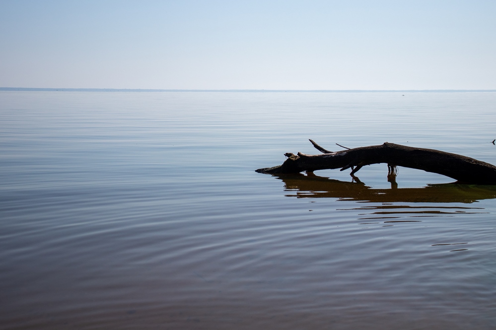 Фотографія я кидаю у воду слово... і вода поглинає сліди / Сергій Мостепан / photographers.ua