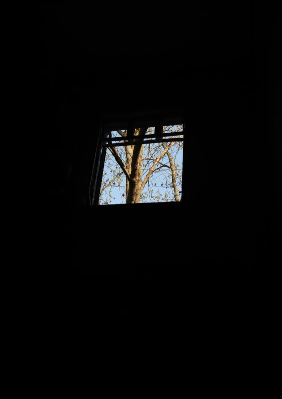 Фотографія ти стіна? я в тобі пробиваю вікно ти вікно? я твої розбиваю шиби © Іздрик / Сергій Мостепан / photographers.ua