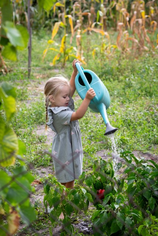 Фотографія ..серпень... / Сергій Мостепан / photographers.ua