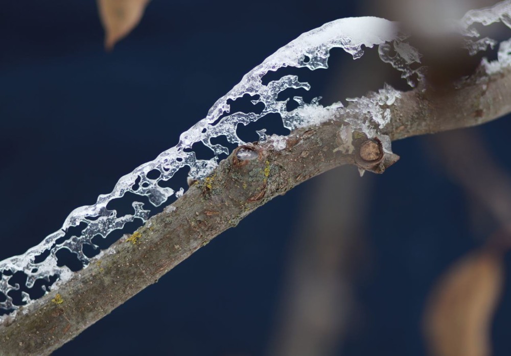 Фотографія ...крижана пектораль... / Сергій Мостепан / photographers.ua
