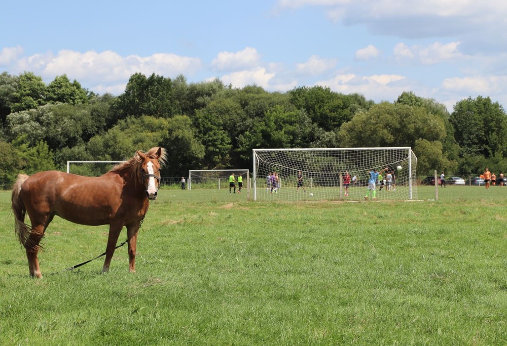 Фотографія ...гол... / Сергій Мостепан / photographers.ua