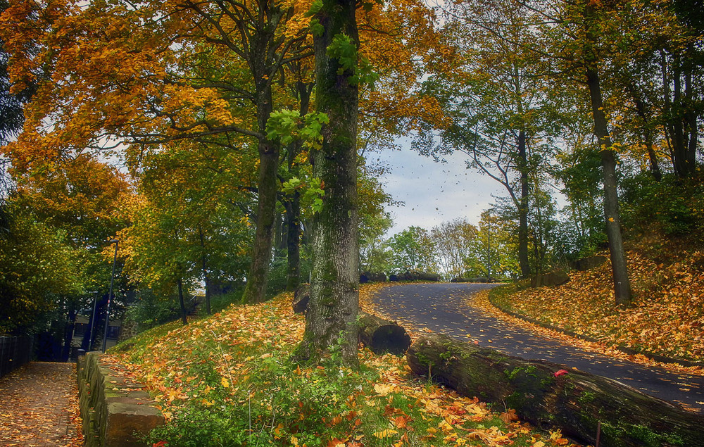 Фотографія ***** / Andronik Aleksander / photographers.ua