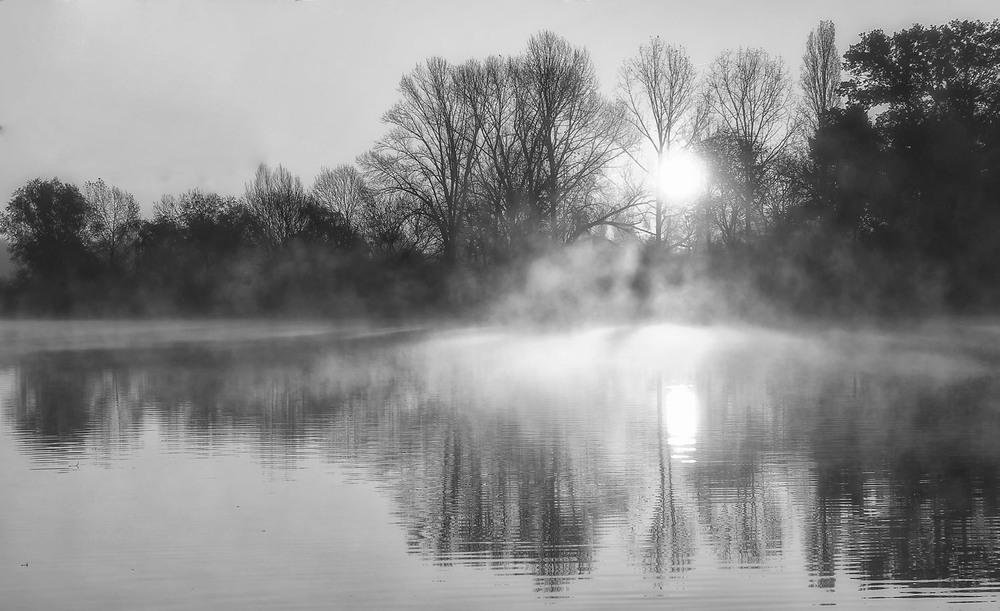 Фотографія **** / Andronik Aleksander / photographers.ua