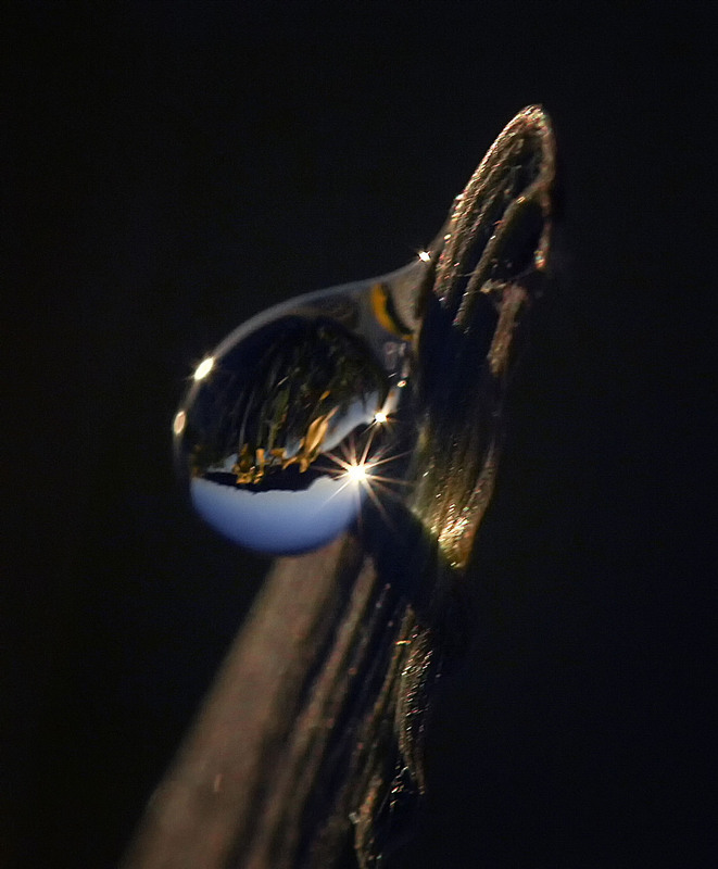 Фотографія ***** / Andronik Aleksander / photographers.ua