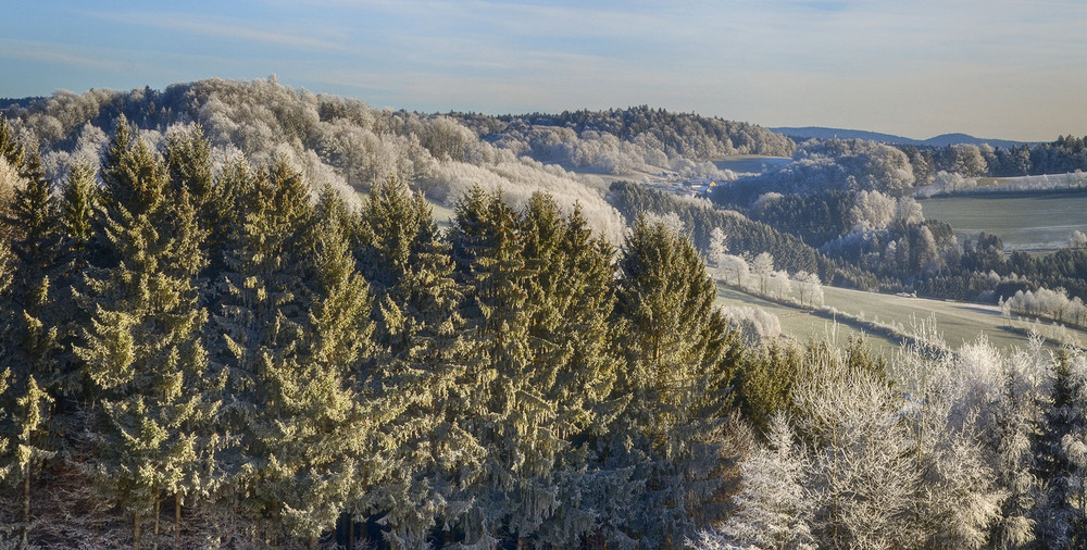 Фотографія **** / Andronik Aleksander / photographers.ua