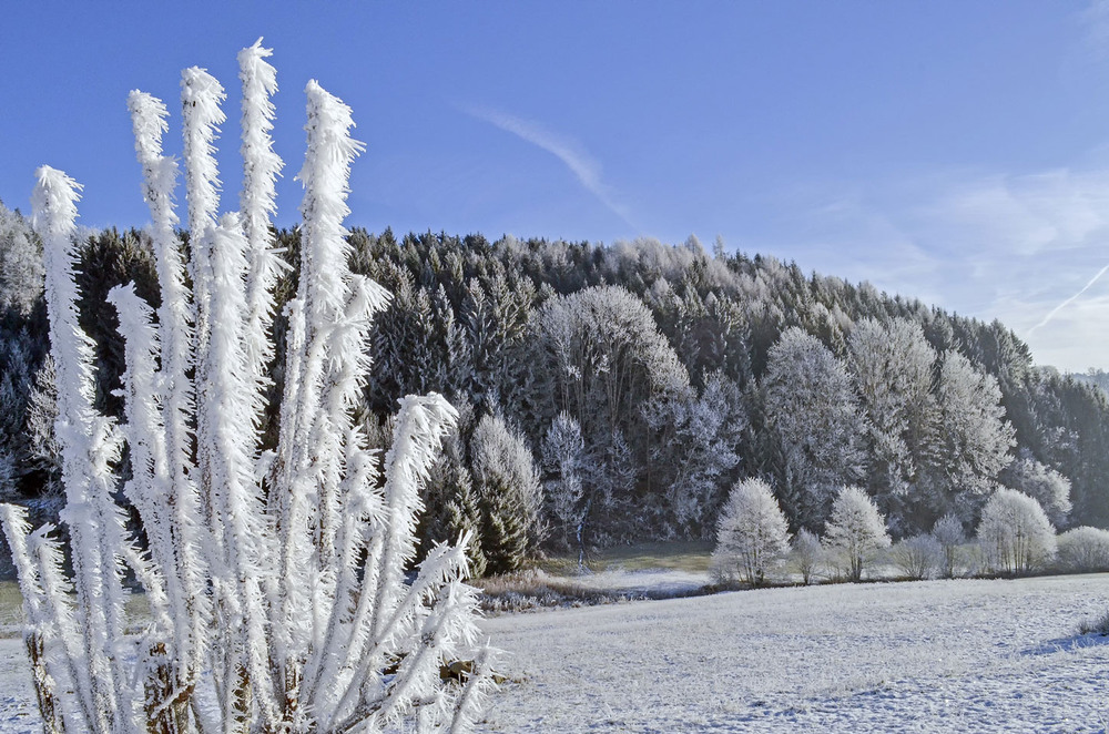 Фотографія **** / Andronik Aleksander / photographers.ua