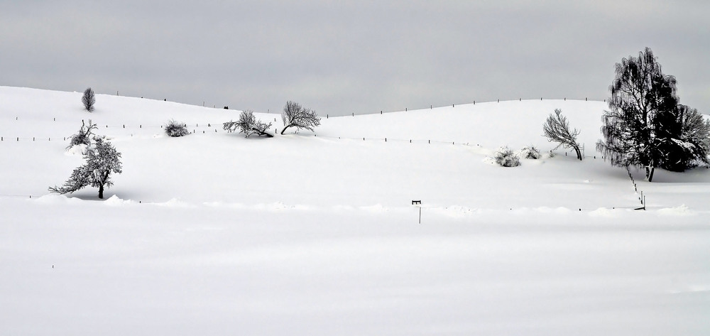 Фотографія Зимой в Баварии / Andronik Aleksander / photographers.ua