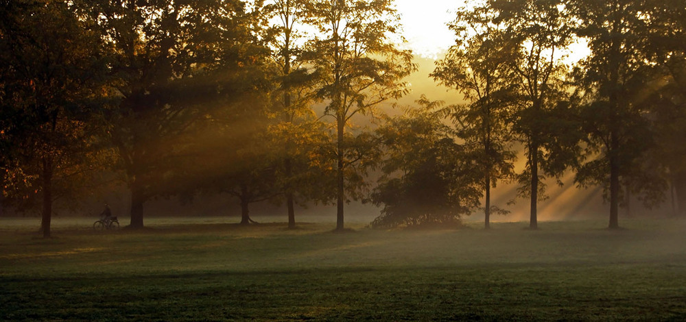 Фотографія ***** / Andronik Aleksander / photographers.ua