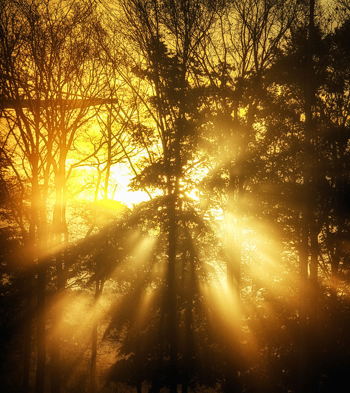 Фотографія Свет / Andronik Aleksander / photographers.ua