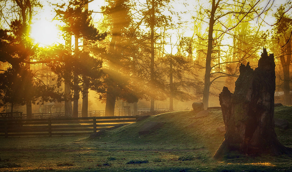 Фотографія ***** / Andronik Aleksander / photographers.ua