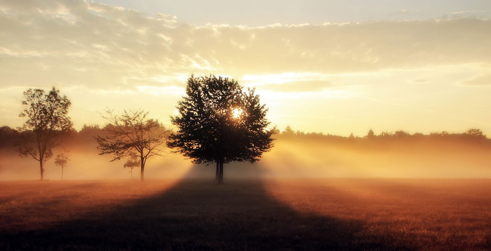 Фотографія ***** / Andronik Aleksander / photographers.ua