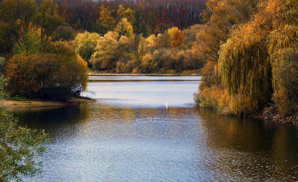 Фотографія Озеро в ноябре / Andronik Aleksander / photographers.ua