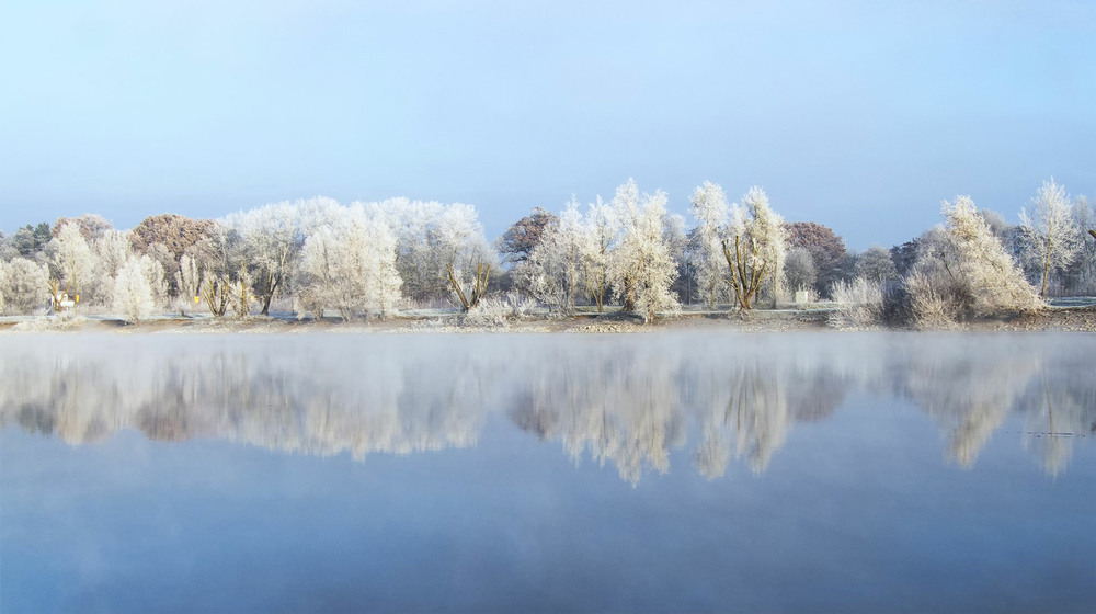 Фотографія Зима которой уже нет / Andronik Aleksander / photographers.ua