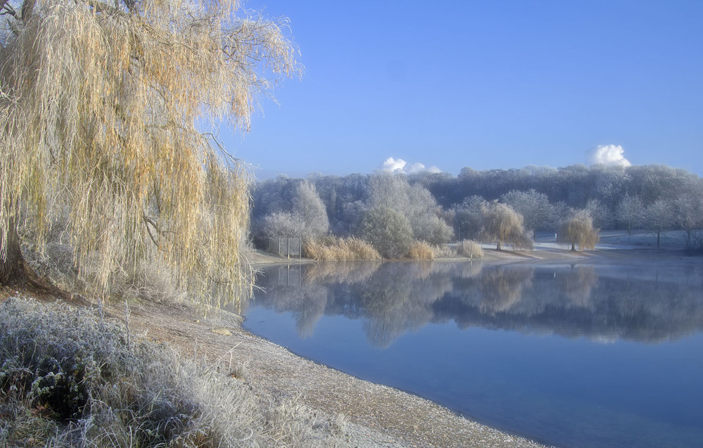 Фотографія Изморозь / Andronik Aleksander / photographers.ua