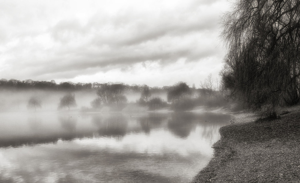 Фотографія ***** / Andronik Aleksander / photographers.ua