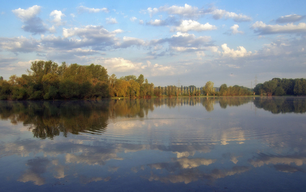 Фотографія ***** / Andronik Aleksander / photographers.ua