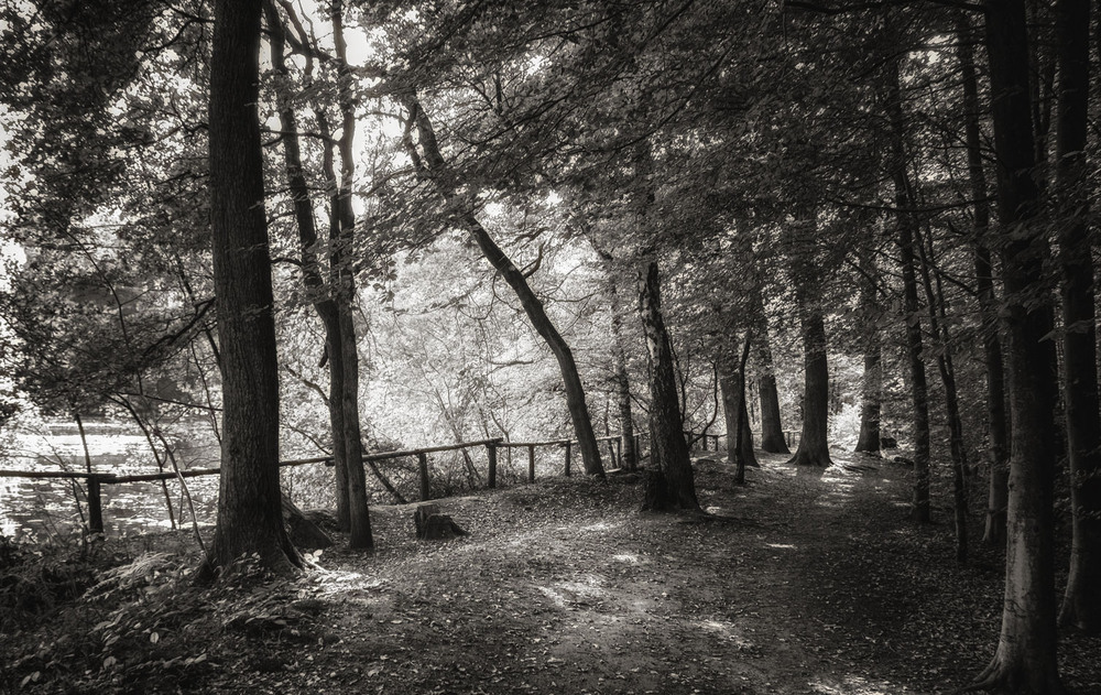 Фотографія ***** / Andronik Aleksander / photographers.ua