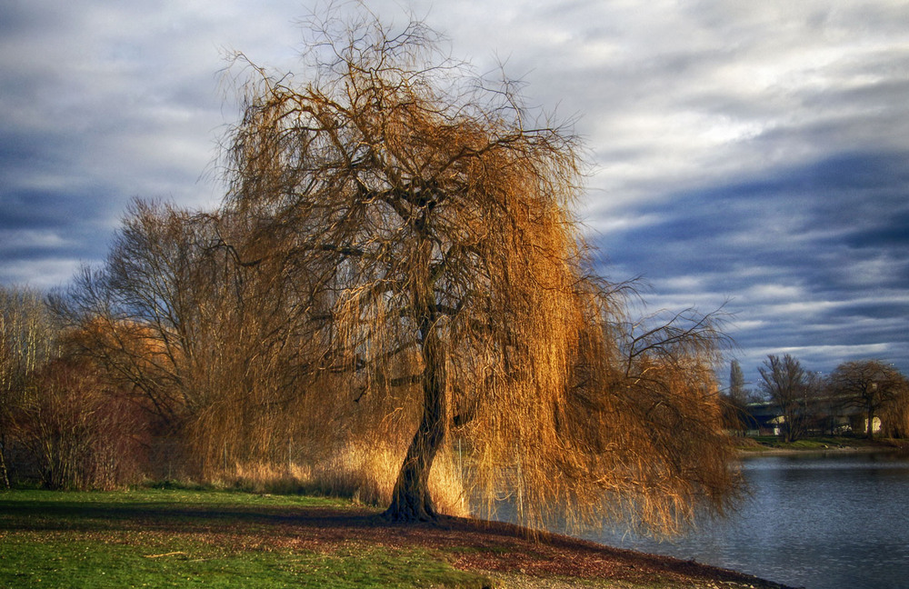 Фотографія Пейзаж / Andronik Aleksander / photographers.ua