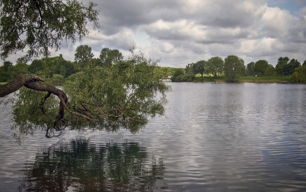 Фотографія ***** / Andronik Aleksander / photographers.ua
