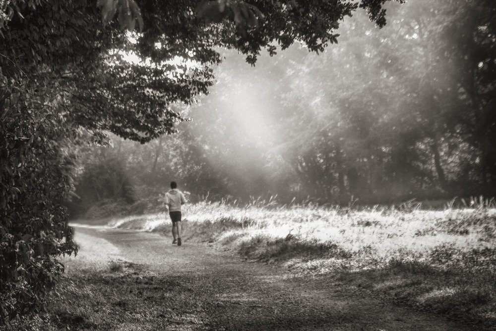 Фотографія Утренняя пробежка / Andronik Aleksander / photographers.ua