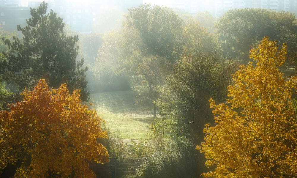Фотографія Утро перед домом / Andronik Aleksander / photographers.ua